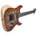 Schecter Reaper-6, Satin Inferno Burst Stood Upright