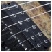 Schecter Reaper-6, Satin Inferno Burst Pickups