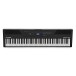 Alesis Recital Pro 88 Note Digital Piano