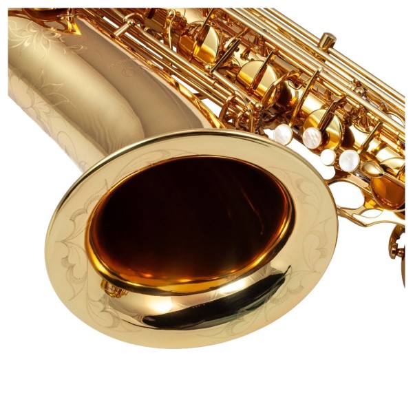 Trevor James EVO Baritone Saxophone, Gold Lacquer 2