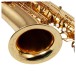 Trevor James EVO Baritone Saxophone, Gold Lacquer 2