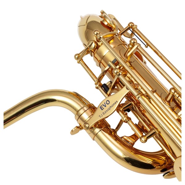 Trevor James EVO Baritone Saxophone, Gold Lacquer 3