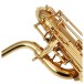 Trevor James EVO Baritone Saxophone, Gold Lacquer 3