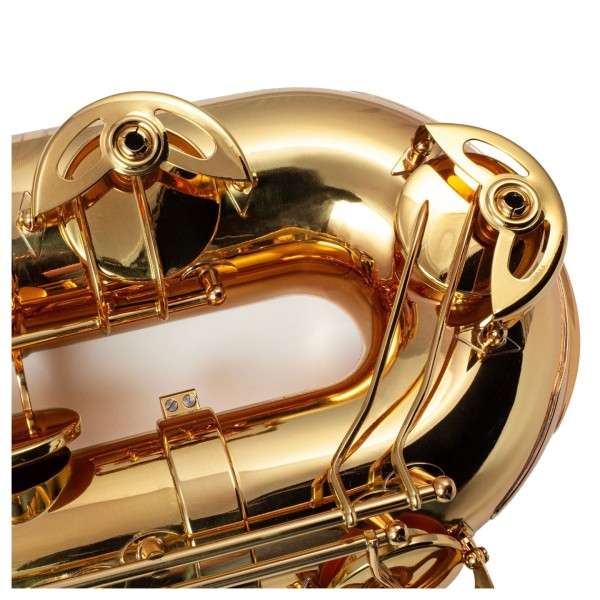 Trevor James EVO Baritone Saxophone, Gold Lacquer 4