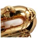 Trevor James EVO Baritone Saxophone, Gold Lacquer 4