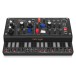 Behringer D MINI Analog Synth_Top-Front_XL