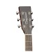 Tanglewood TW170 SS Premier Acoustic