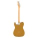 Fender 75th Anniversary Player II Telecaster MN, Aztec Gold - Back
