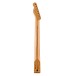 Fender Player II Series Telecaster Roasted Maple Neck, 22 Medium Jumbo Frets MN, 9.5