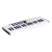 Arturia Minilab 37 MK3, White - Angled 2