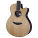 Furch Guitars Green Gc-TR a 2026 - body