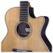 Furch Guitars Green Gc-TR a 2026 - soundhole