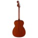 Fender California Deluxe Monterey E, Honey Sunburst - back