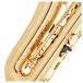 Selmer Paris Axos Tenor Saxophone Outfit, Gold Lacquer