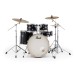 Pearl Export 22