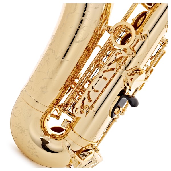 Selmer Paris SA80 Series II Alto Saxophone, Gold Lacquer