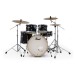 Pearl Export 20