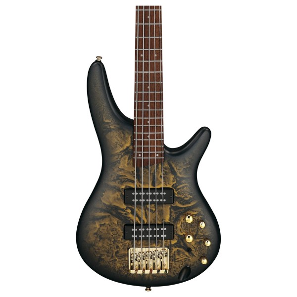 Ibanez SR305EDX SR 5 String, Frozen Gold Matte - body