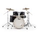Pearl Export 22