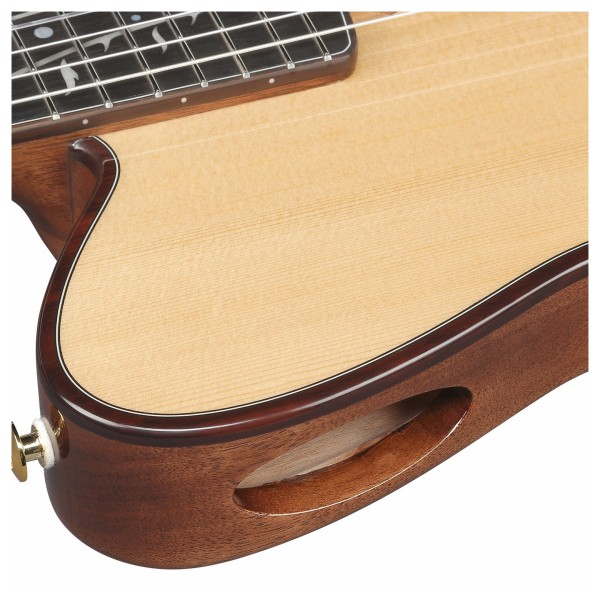 Ibanez TOD100N Tim Henson Signature, Natural High Gloss - sound port