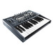Arturia MiniBrute