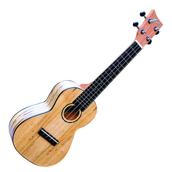 Ashton UKE500SPM Concert Ukulele, Spalted Maple