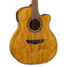 Dean Exotica Electro Acoustic Guitar, Spalt Maple