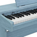 JDP-1-BL