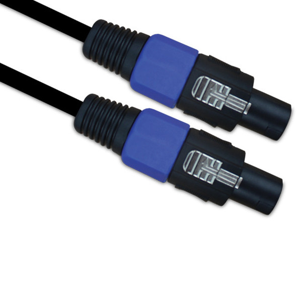 Ashton SSP20 Speaker Cable, 20ft