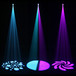 Equinox Fusion Spot Moving Head LED Light, White Housing