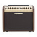 Fishman Loudbox Mini Amplifier