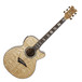 Dean Performer Quilt Ash Electro Acoustic Guitar w/Aphex, GN