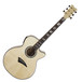 Dean Performer FM Electro Acoustic Guitar w/Aphex, Gloss Natural