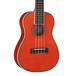 Dean Ukulele Concert Flame Maple, TAM