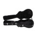 Dean Hard Case, Resonator