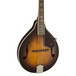 Fender Concert Tone Mandolin 