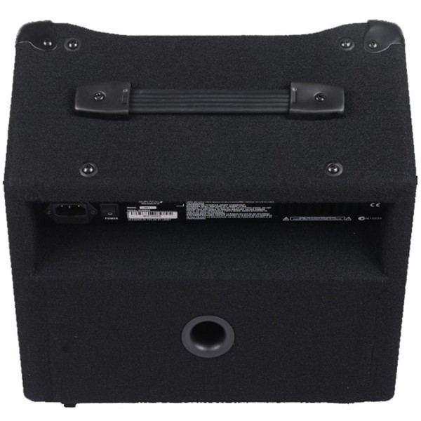 Laney RB1 Bass Combo Amp