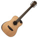 Washburn WCDM25SK Comfort Mini Dreadnought Acoustic Guitar