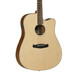 Tanglewood Discovery DBT DCE Electro Acoustic Guitar, Natural