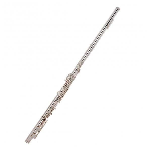 Powell Sonaré 101 Series Flute Package 2