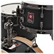 Premier Artist Heritage 20