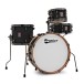 Premier Artist Heritage 20
