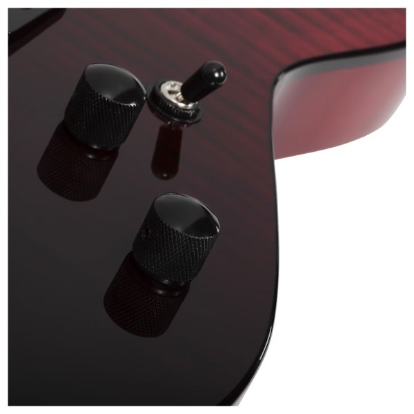 Schecter C-1 Standard, Blood Burst - controls