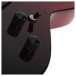 Schecter C-1 Standard, Blood Burst - controls