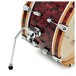Premier Artist Heritage 20