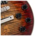Cort CR300 Deluxe, Flaming Burst - controls