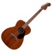 Fender California Standard Monterey, Sapele Top, Natural Sapele - front