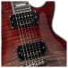 Cort CR300 Deluxe, Lava Burst - pickups