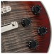 Cort CR300 Deluxe, Lava Burst - controls