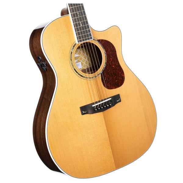 Cort Gold-A8 Electo Acoustic, Natural - body